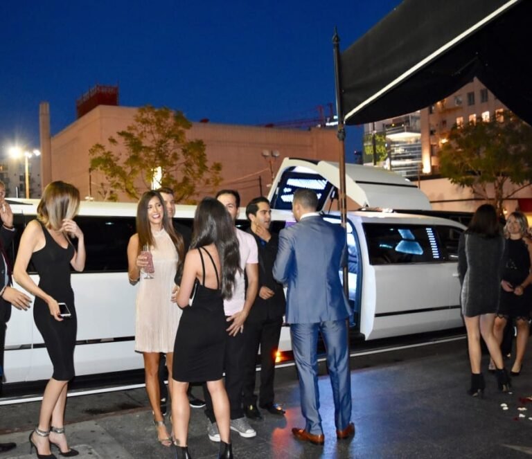 déplacement garde du corps bodyguard vip limousine chauffeur privée filtrage boite de nuit discotheque